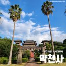 대포동호스텔 | [제주여행-서귀포시] 약천사