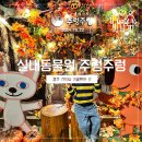 경주 실내동물원 주렁주렁 비오는날 아이와 가볼만한 곳