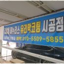 명성덴트칼라