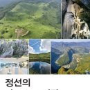 정선바로서비스 이미지