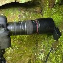 생명예찬1 이미지