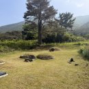 경남창원서비스 | 🌿 경남 창원 진북면 벌초 대행 후기 [#02]