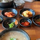 양지-3558 | 제주도로 일하러 와서 가본, '채훈이네 해장국' 고사리 육계장 후기