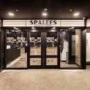 스파리스 이미지