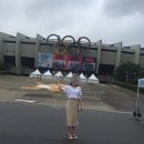 7월15일~16일 세븐틴 콘서트 양일 뛴 후기