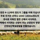 엠퍼씨 이미지