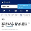 중요한 건 꺾이지 않는 마음 ＜ 일본식 표현이라고? 아님 이미지