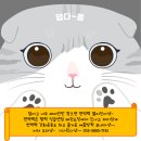 잼팍 잉글앤짐 태권도장 이미지