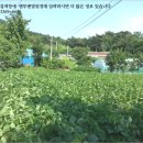 한천보건진료소 이미지