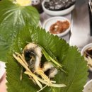 섬진강 민물장어 | 속초 장어 맛집 섬진강민물장어구이, 장어탕 후기