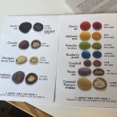 쇼콜라쏭즈