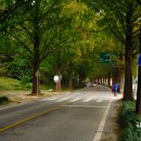 팔덕면사무소 이미지