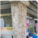 일자리천하 이미지