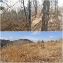 순천만자연드림목장 이미지