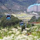 정광목장 이미지