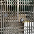 도로시지켜줄개 이미지