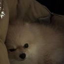 흥덕1로48번길 이미지