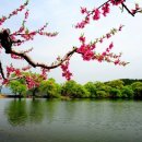 황제고물상 이미지