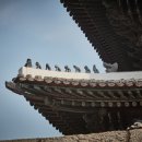 비엘티스테이크 JW메리어트동대문스퀘어서울 티스토리