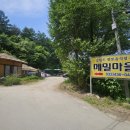 강원도 홍천 맛집 | 메밀마을 감자전, 메밀막국수 후기