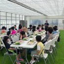 에코농장 이미지