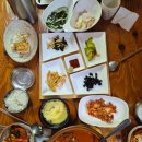 효정식당 | 광주 북구 효정식당, 현지인이 추천 생물 갈치조림 맛집