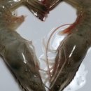 장항수산 이미지