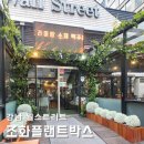 6216 | 조화플랜트박스 제작 강남 월스트리트 실외조경 연출