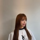 붙임머리