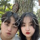 댕컷