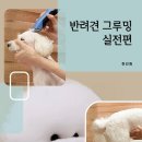 그루밍스토리 이미지