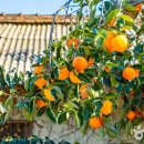 모두와 하루(무장애 여행) | 지리산 황전마을 여행, 화엄사와 황전계곡까지 한 번에 즐기는 무장애 힐링 코스