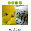 코숨한의원네트워크 이미지