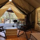 자연설렘 이미지