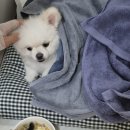 화서카센타 | 9월 1주, 김행복 한 주의 일상