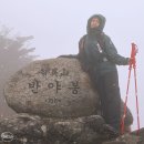 내동리2 소교량 11 | 지리산 반야봉 최단 코스 성삼재 주차장 출발 원점 회귀