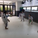 호반효태권도 이미지