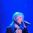 겨울의 길목 콘서트 이미지