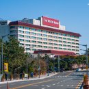 도시철도 수정역 2번 출구 앞 | 웨스틴 조선 부산 - 이그제큐티브 그랜드(주니어 스위트), 클럽 라운지, 까밀리아 조식 뷔페