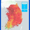 목요일까지 미세먼지 최악 이미지