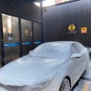 서산셀세모 이미지