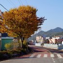 화정보건지소 이미지