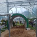 더멍스테이 이미지