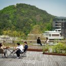 서울대학교 이미지