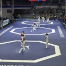 세계로 국제태권도 이미지