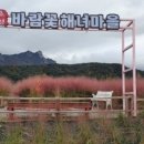 바람꽃해녀마을속초본점 이미지