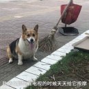 도기플래닛 더 스테이 이미지