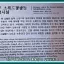 슬픈 비극의 역사를 지닌 한센인의 섬 소록도 이미지