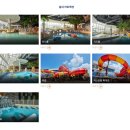 모실 수영장 이미지