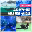 도쿄 아쿠아리움 시나가와 수족관 입장료 솔직후기
